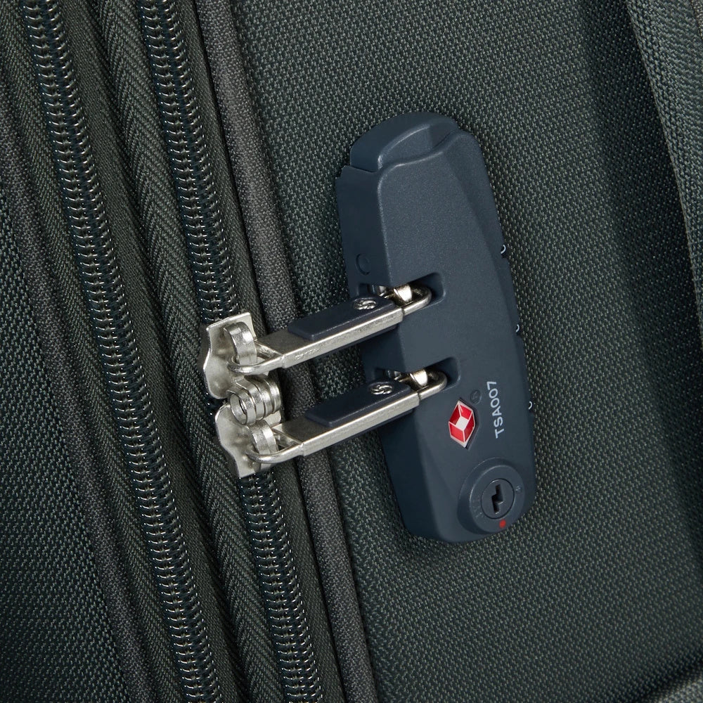 Citybeat 2 Piece Luggage Set (55cm & 78cm) - Climbing Ivy