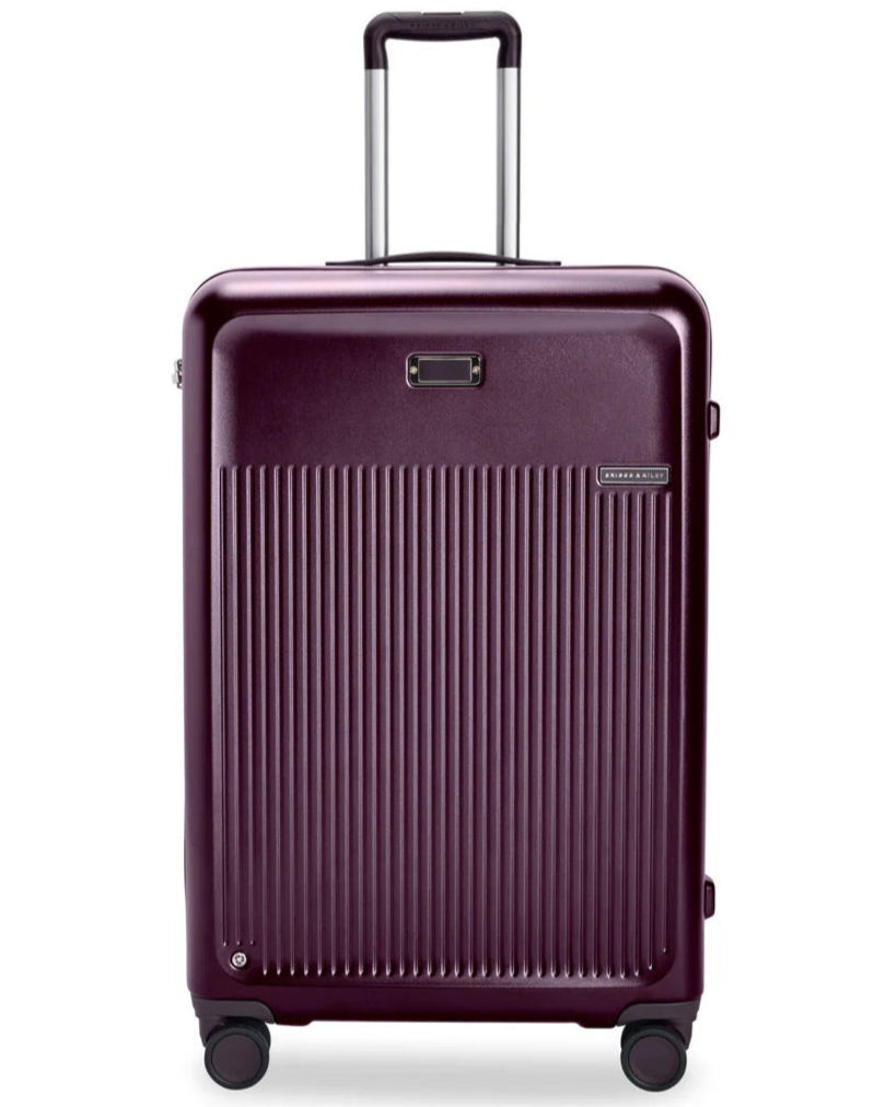 Sympatico Large Expandable Spinner - Plum