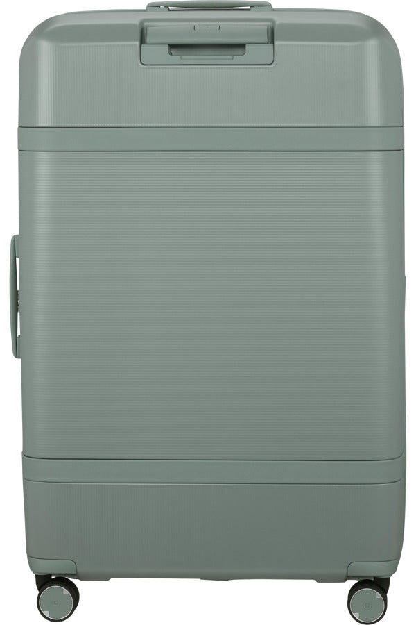 Image Spinner Expandable (4 wheels) 81cm - Thyme