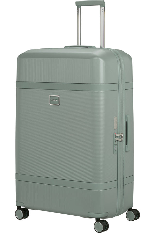 Image Spinner Expandable (4 wheels) 81cm - Thyme