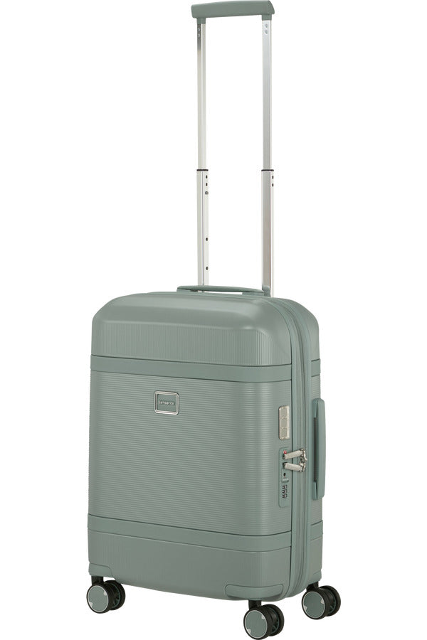 Image Spinner Expandable (4 wheels) 55cm - Thyme