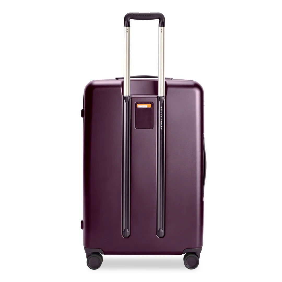 Sympatico Large Expandable Spinner - Plum