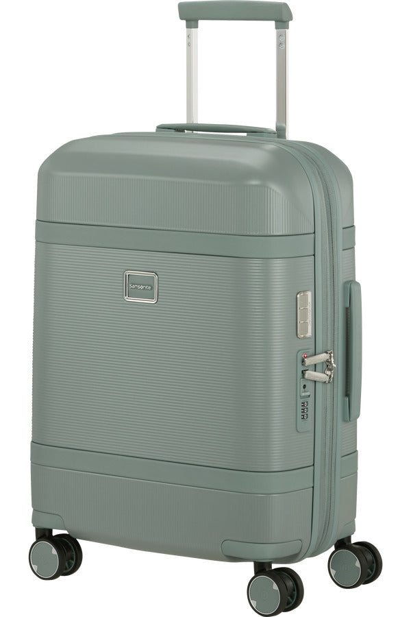 Image Spinner Expandable (4 wheels) 55cm - Thyme