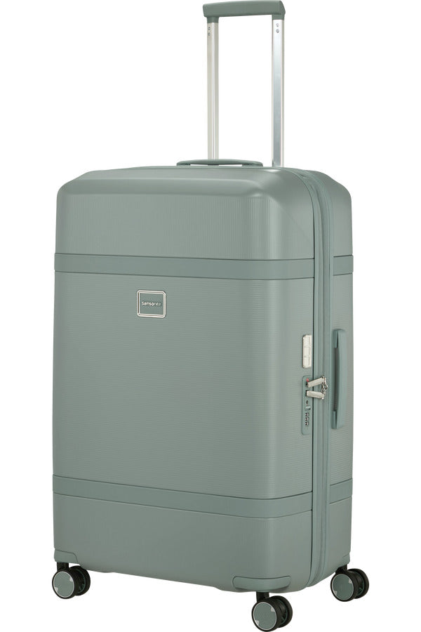 Image Spinner Expandable (4 wheels) 75cm - Thyme